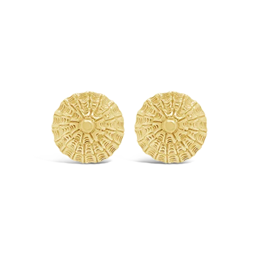 geometric stud earrings for women -Gold Shell Earrings